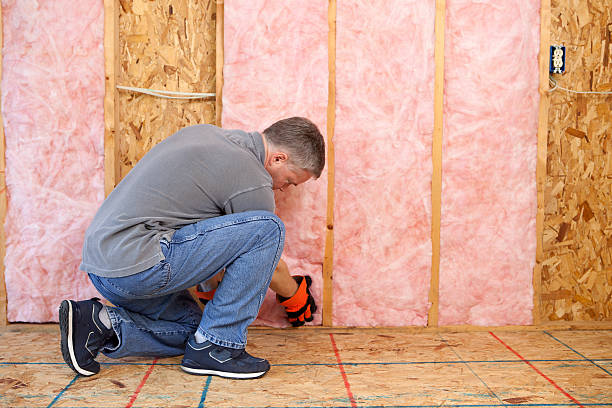 Best Commercial Insulation in Santa Ana Pueblo, NM